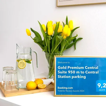 Gold Premium 950 M To Station Parking 公寓 华沙